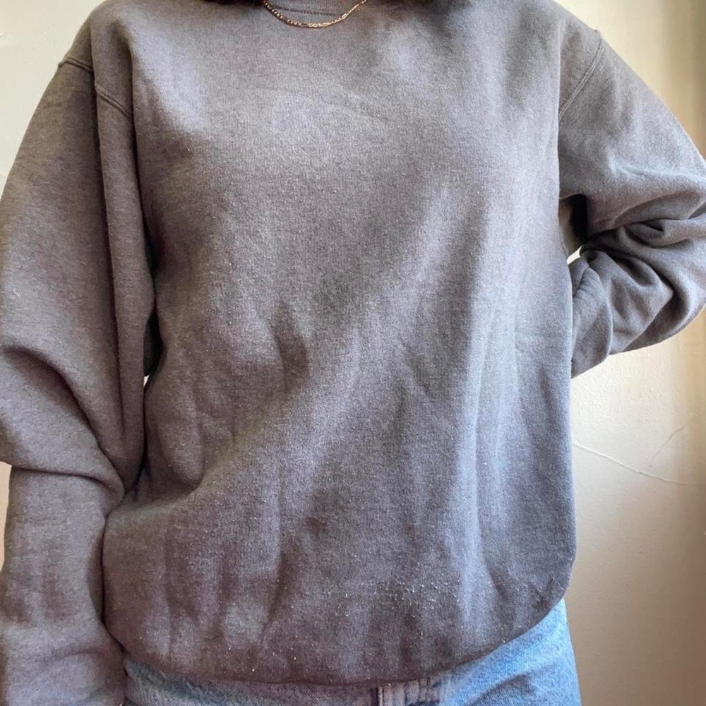 Fruit of the Loom gray crewneck
